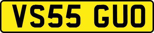 VS55GUO