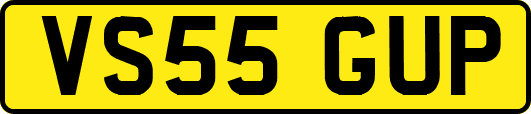 VS55GUP