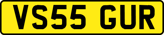 VS55GUR