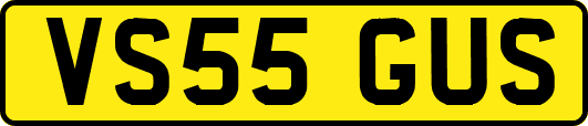 VS55GUS
