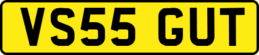 VS55GUT