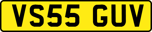 VS55GUV
