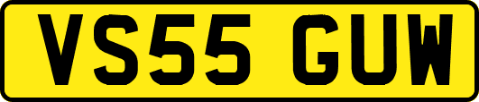 VS55GUW
