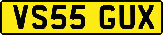 VS55GUX