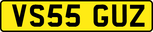 VS55GUZ