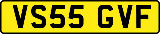 VS55GVF