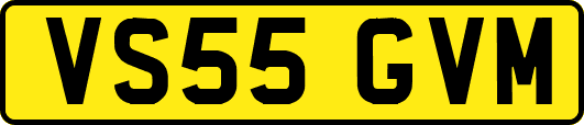 VS55GVM