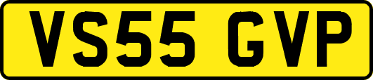 VS55GVP