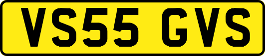 VS55GVS