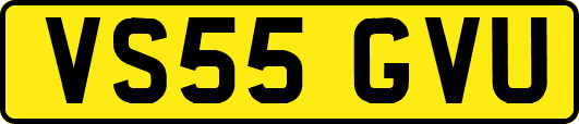 VS55GVU