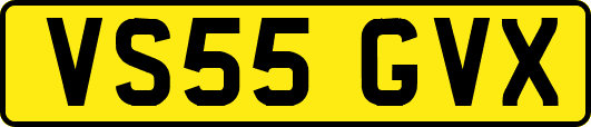 VS55GVX