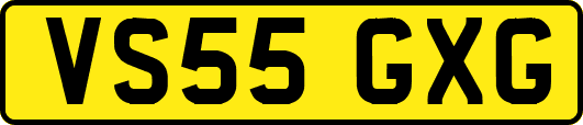VS55GXG