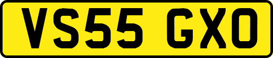 VS55GXO