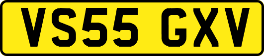 VS55GXV