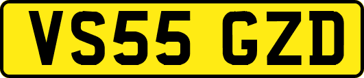 VS55GZD