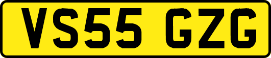 VS55GZG