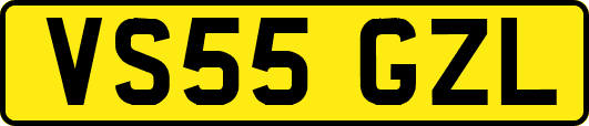 VS55GZL
