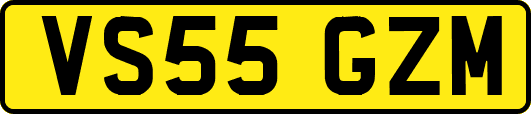 VS55GZM