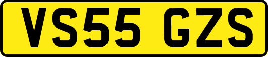 VS55GZS