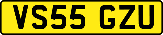 VS55GZU