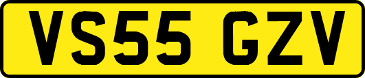 VS55GZV