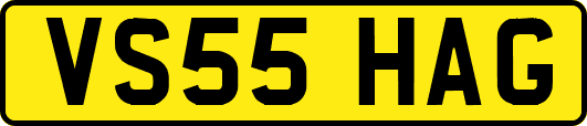 VS55HAG