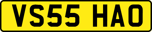 VS55HAO