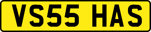 VS55HAS