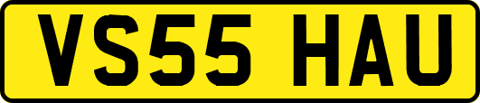 VS55HAU