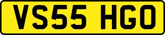 VS55HGO