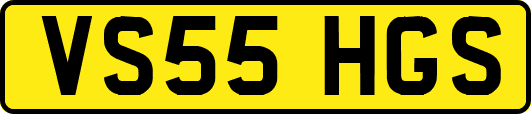 VS55HGS