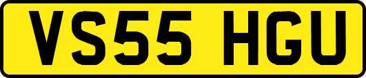 VS55HGU