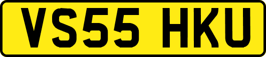 VS55HKU