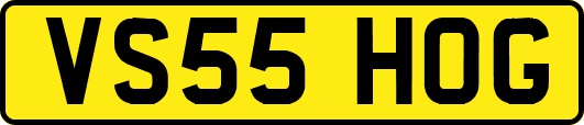 VS55HOG