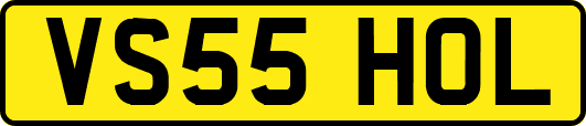 VS55HOL