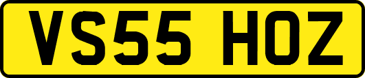 VS55HOZ