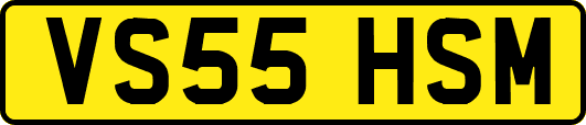 VS55HSM