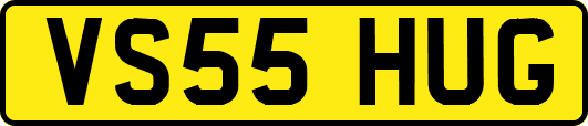 VS55HUG