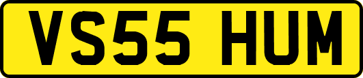 VS55HUM