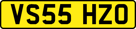 VS55HZO