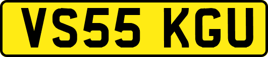 VS55KGU