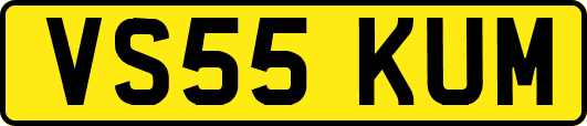 VS55KUM