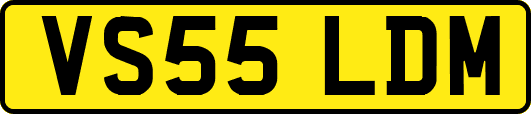 VS55LDM