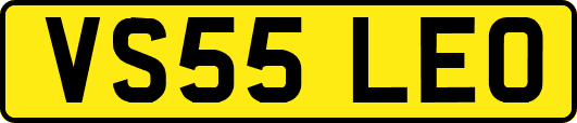 VS55LEO