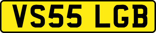 VS55LGB