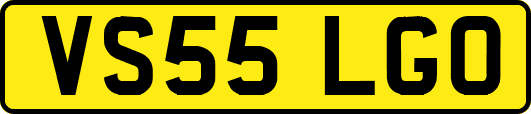 VS55LGO