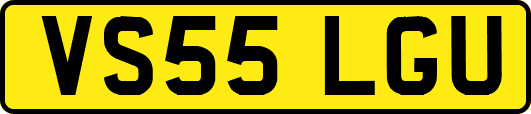 VS55LGU