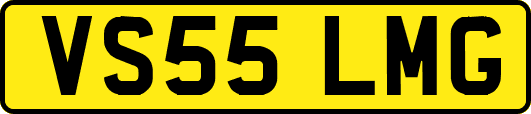 VS55LMG