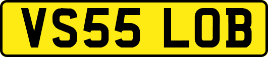 VS55LOB
