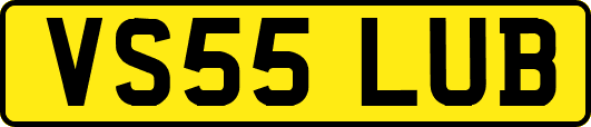 VS55LUB